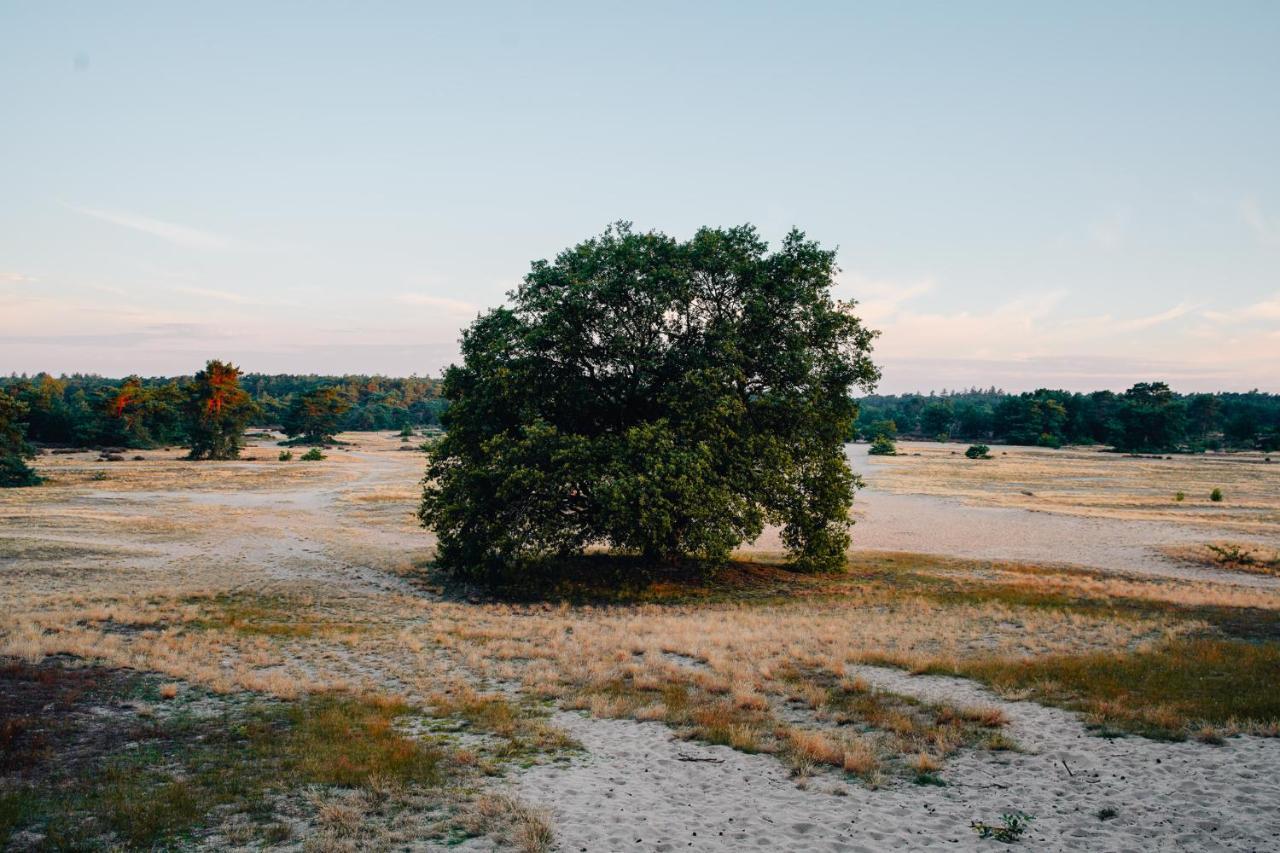 De Wever Lodge Otterlo Exteriér fotografie